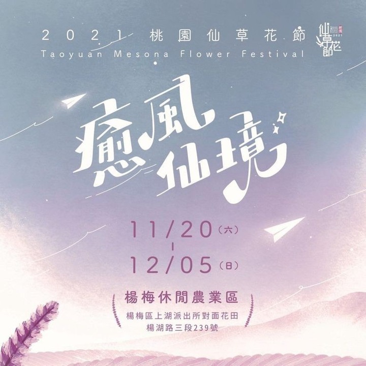 夢幻紫色花海宛若台版普羅旺斯!2021桃園仙草花節美翻天