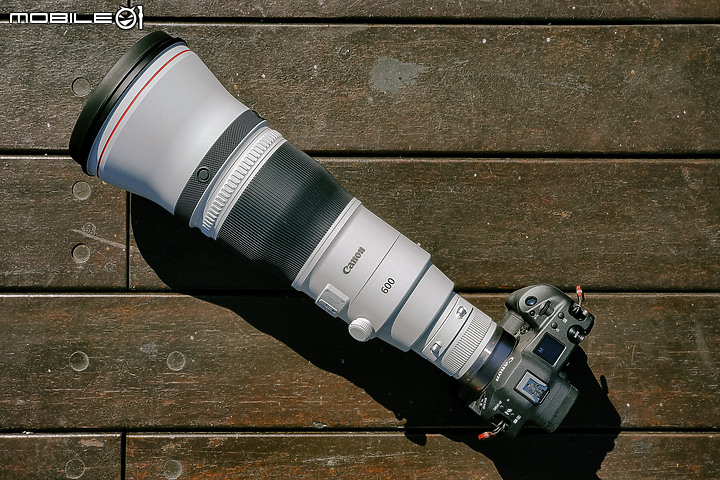 Canon EOS R3 評測報告|展現真實力 準機皇の逆襲!