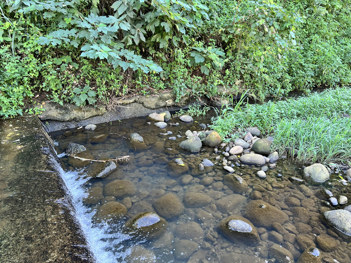 秋風送爽,沿著田園景觀大道踩訪坑子溪及楓樹坑,享受一日農村漫騎之旅