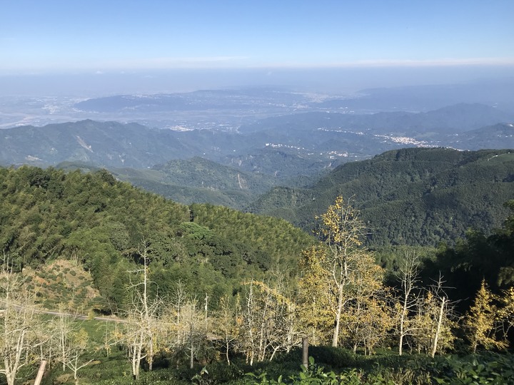 秋末長旅:銀杏森林、武嶺、777、888、999