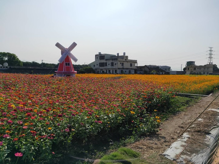 彰化「田尾花海秋收花宴嘉年華活動」活動即將開始
