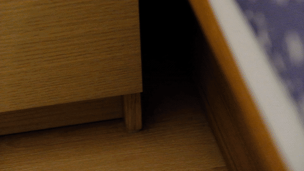 Dyson V12 Detect™ Slim Total Clean 王者之尊