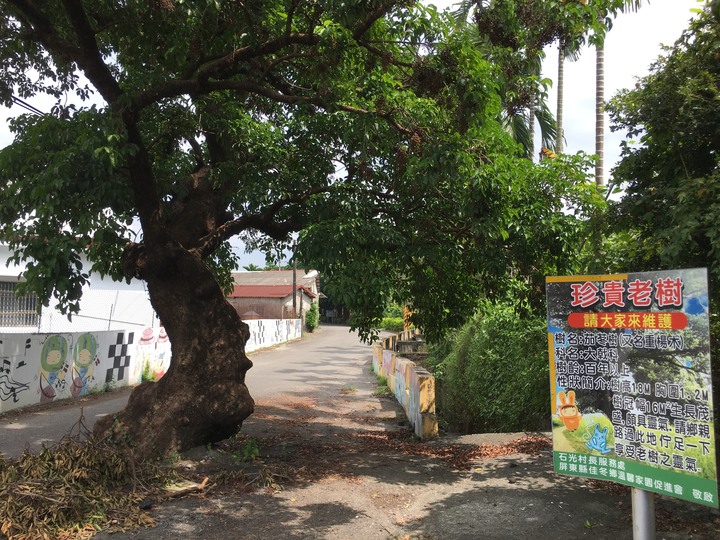 屏東佳冬單車漫遊巡鄉之旅