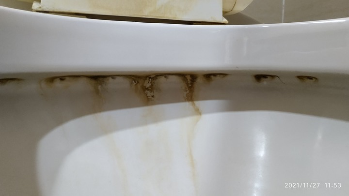 詢問馬桶出水口的黃垢怎麼清？