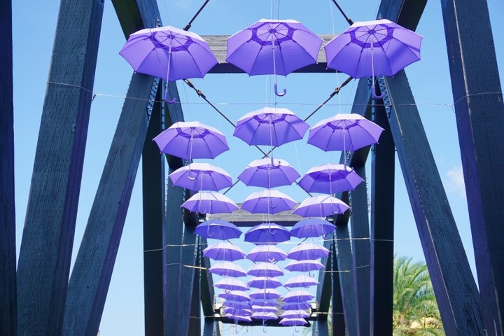 台中網美型新景點!「紫見石岡」紫色花瀑傾泉而下有夠浪漫