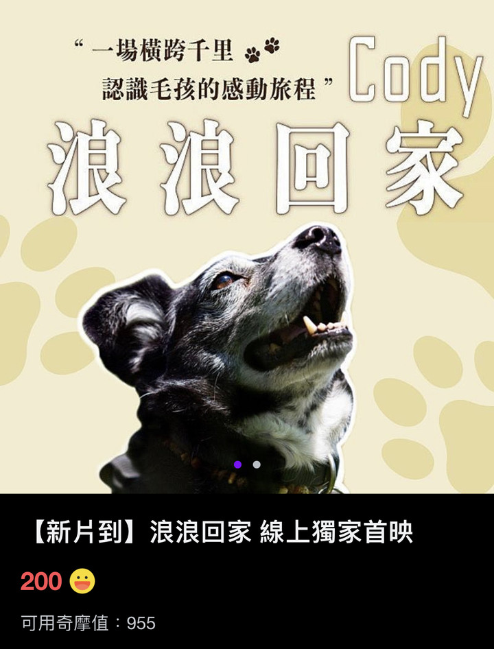 關於流浪狗的電影