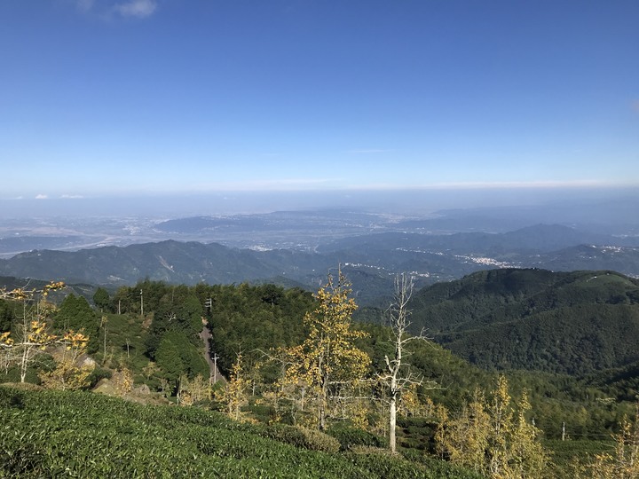 秋末長旅:銀杏森林、武嶺、777、888、999