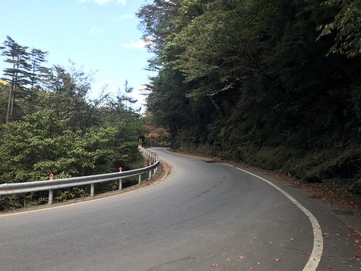 秋末長旅:銀杏森林、武嶺、777、888、999