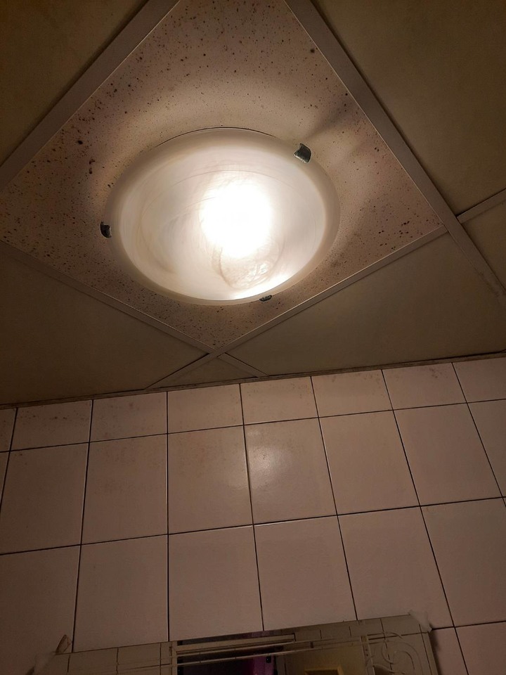 電腦桌燈光，用白光 黃光 或自然光燈泡，哪種對眼睛較好?