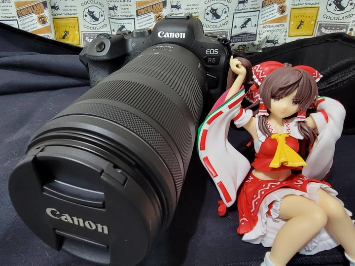 【蓋大樓】Canon RF 100-400mm F5.6-8 IS USM