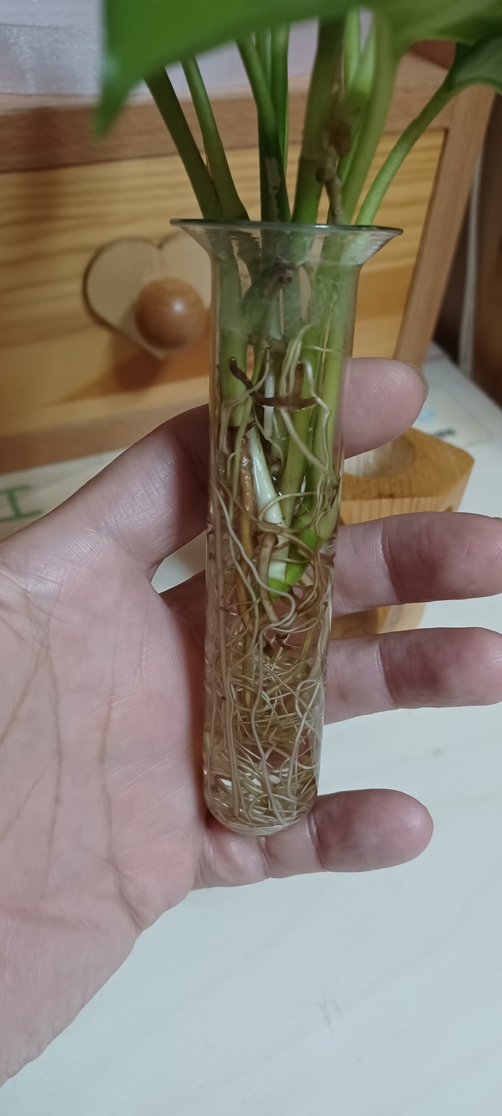 玻璃試管哪裡買