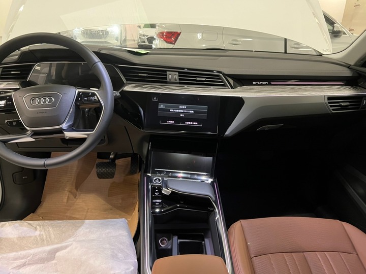 人生第一台歐洲車, Audi電動車之2，圖多甚入~