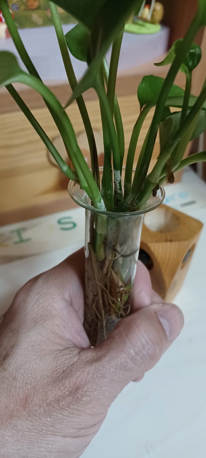 玻璃試管哪裡買