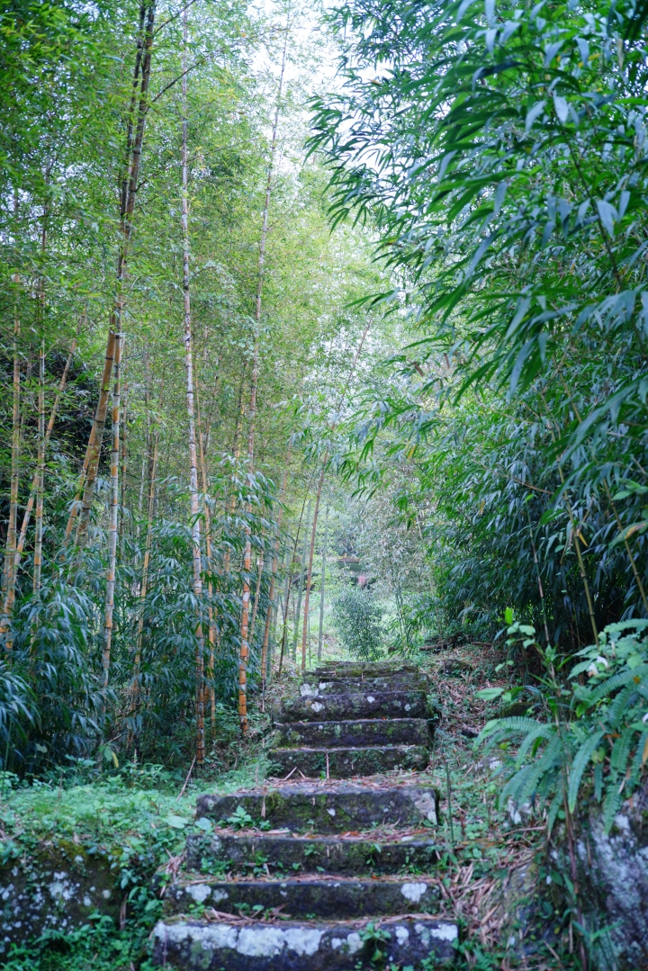 一顆有趣的手動餅乾鏡——7 Artisans 35mm f5.6