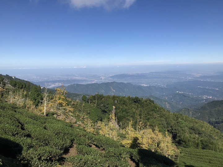 秋末長旅:銀杏森林、武嶺、777、888、999