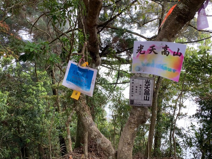 向天湖O型森林浴