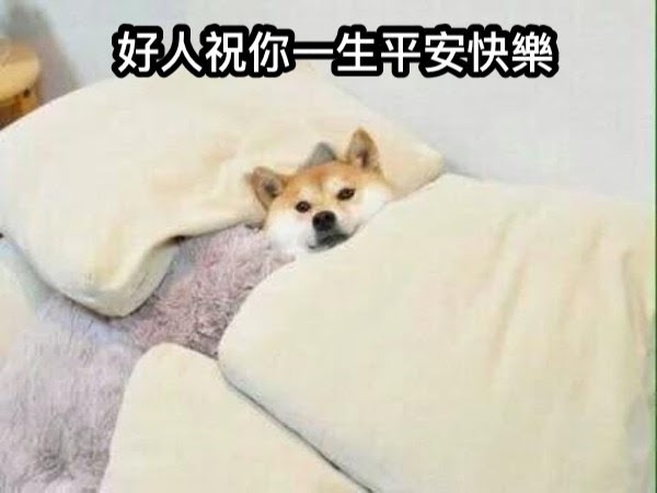 跪求礁溪舒服的飯店