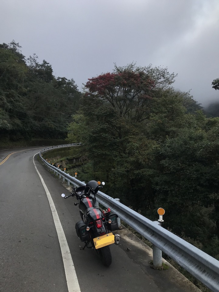 秋末長旅:銀杏森林、武嶺、777、888、999