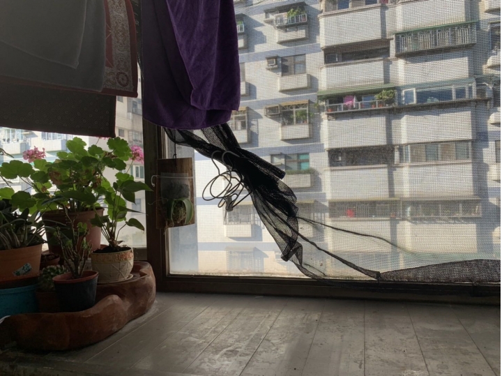 分享-改造貓主子的散步空間&一錠除使用心得分享