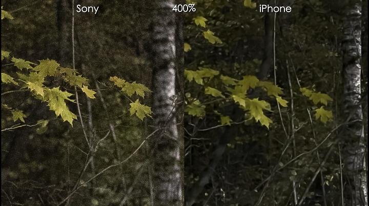 [心得] iPhone 13 pro max ProRAW 之實作（對比 全片幅SONY A7S III RAW檔）