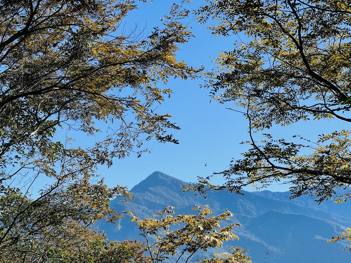 【遊記分享】屏東沙溪林道再訪，順登尾寮山