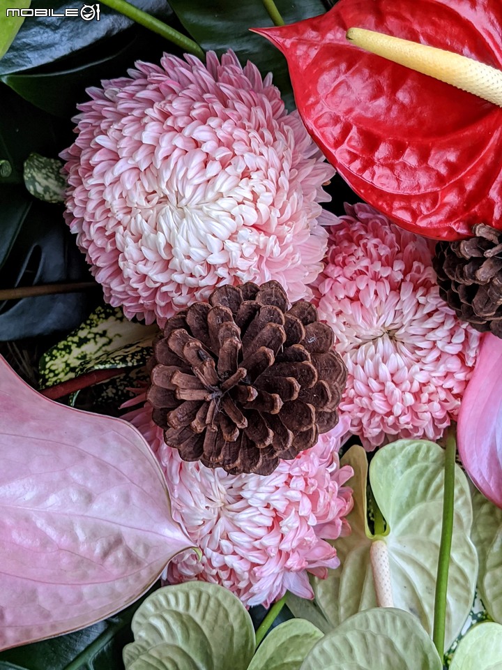 臺南好米季農業產業文化活動-六甲 幸福來稻 11/27