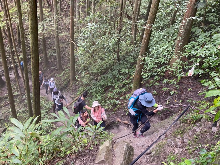 向天湖O型森林浴