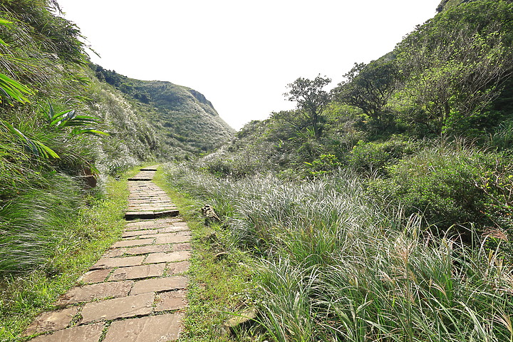 (映像分享) 極輕、超廣、輕鬆玩in草嶺古道 feat. RF16mm f/2.8 STM & 柯式野生活