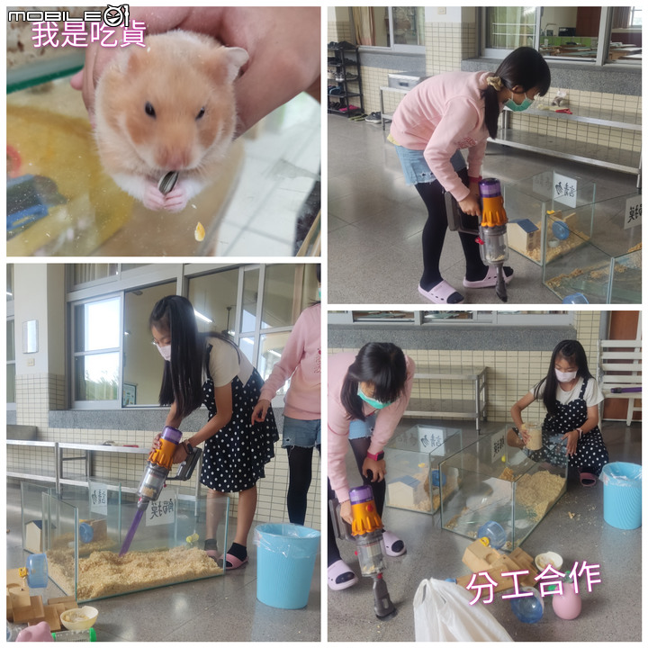 是否應該升級Dyson V12 ? 假開箱 真認養