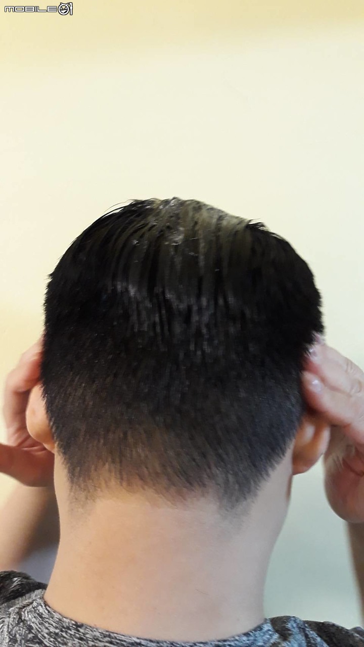 德國髮現工程Alpecin 雙動力咖啡因洗髮露，乾性敏感頭皮專用，讓你維持健康頂上風采！使用分享