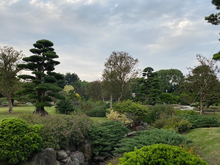 [彰化永靖] 成美文化園園區 適合散步攝影的日式庭園與傳統三合院