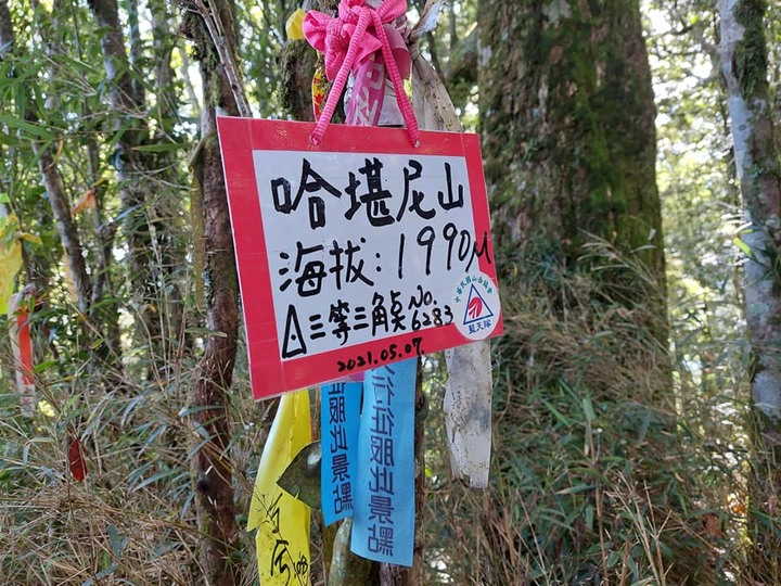 哈加v型走好走滿!!