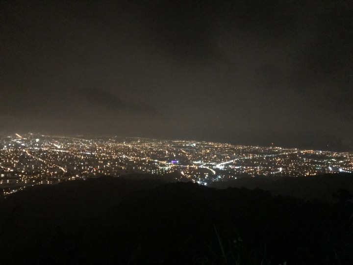 重返與回顧：大白山上的山毛櫸