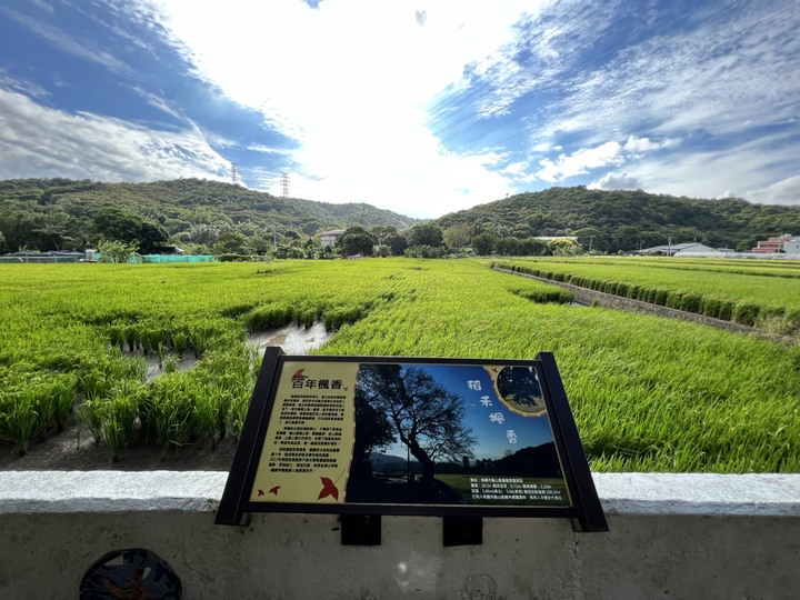 秋風送爽,沿著田園景觀大道踩訪坑子溪及楓樹坑,享受一日農村漫騎之旅