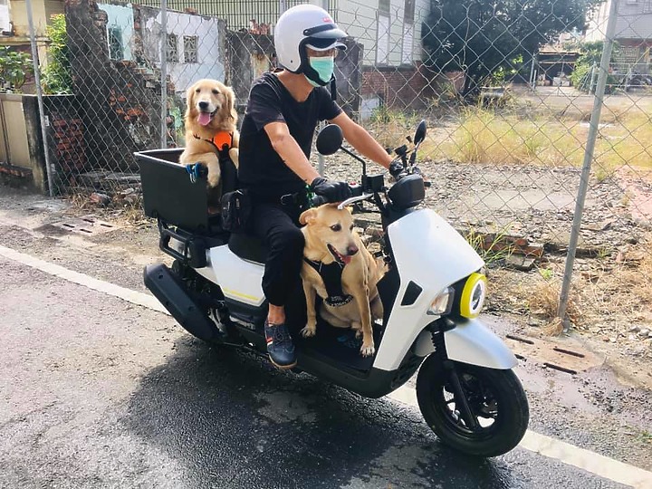 點我看大圖 我和我家毛孩都愛死這螞蟻車了!