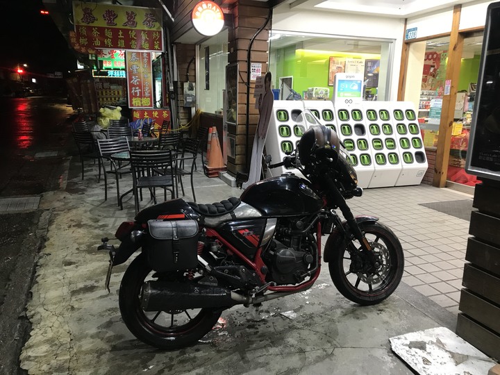 尖頭鰻的羅馬假期