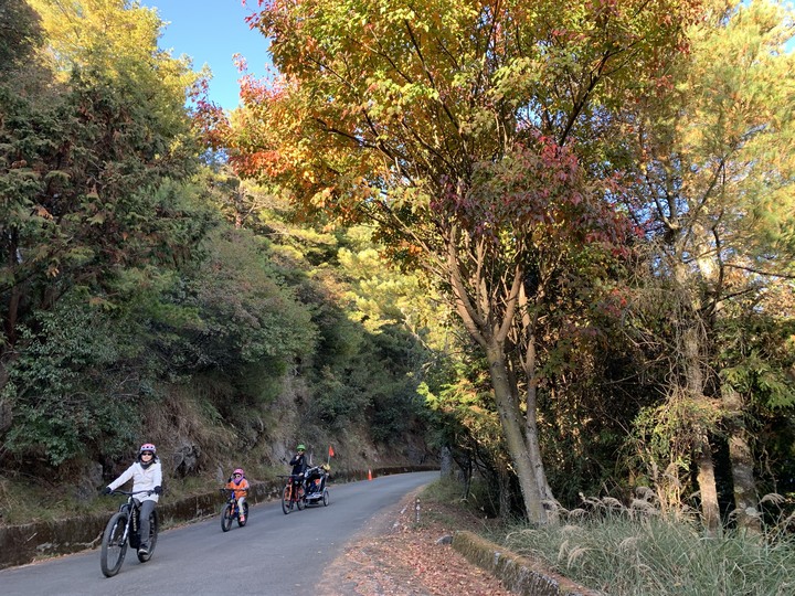 點我看大圖 上帝在這裡打翻了調色盤 - 登山車大雪山林道追楓去