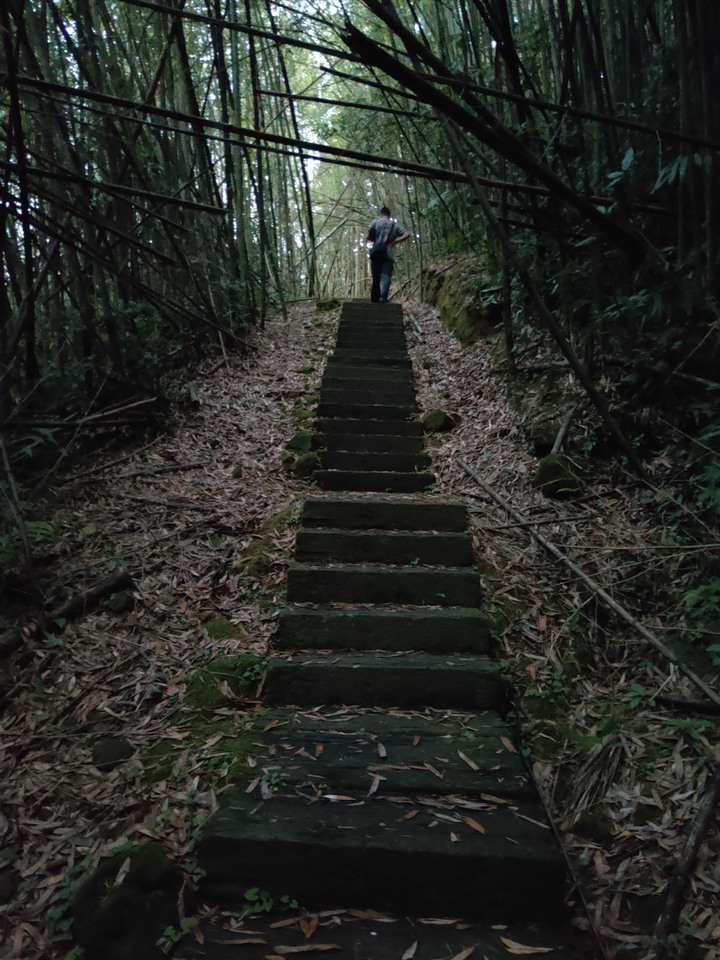 縣道169線記錄(梅山鄉太和~阿里山鄉里佳)