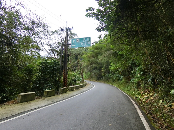 縣道169線記錄(梅山鄉太和~阿里山鄉里佳)