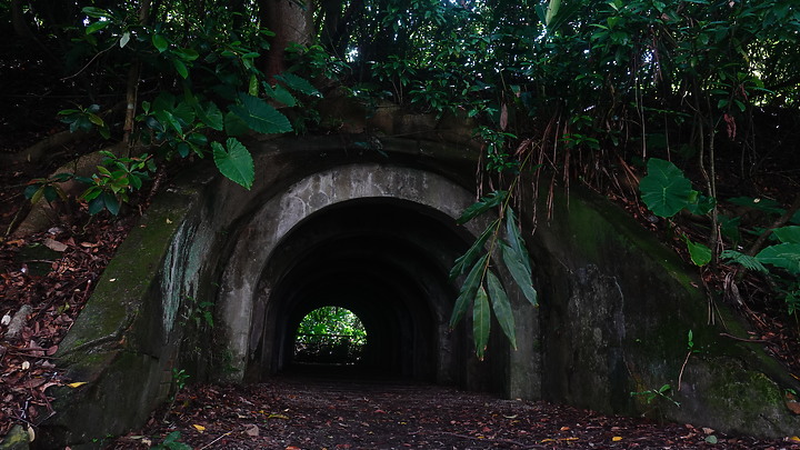 點我看大圖 富陽公園生態體驗