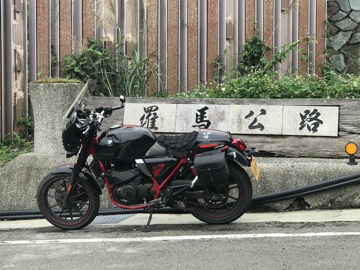 尖頭鰻的羅馬假期
