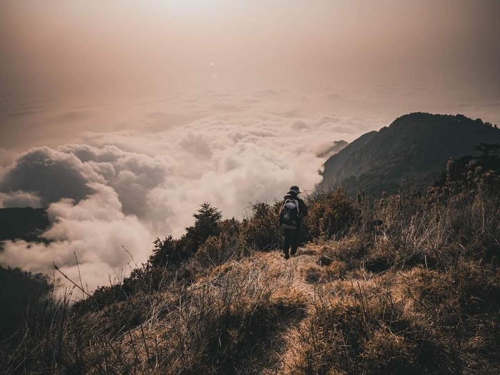 這些年探訪過的山林