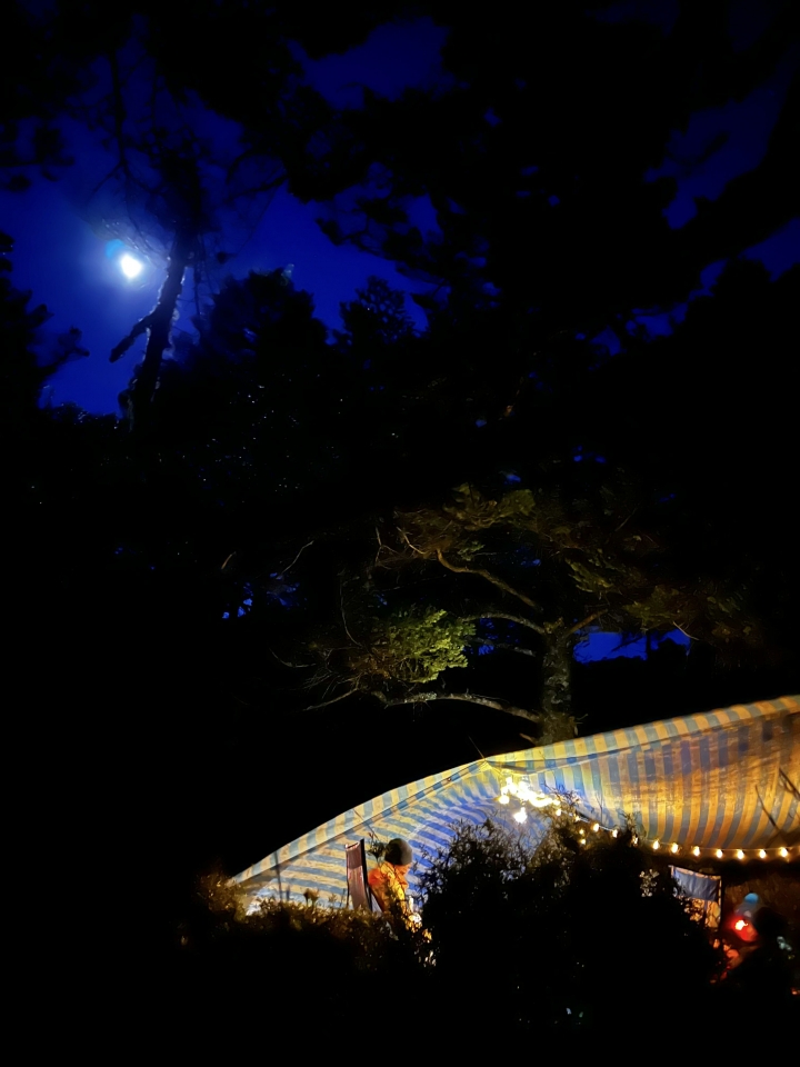 【百岳】夜宿月光下的新武呂溪,看朝陽灑落嘉明湖