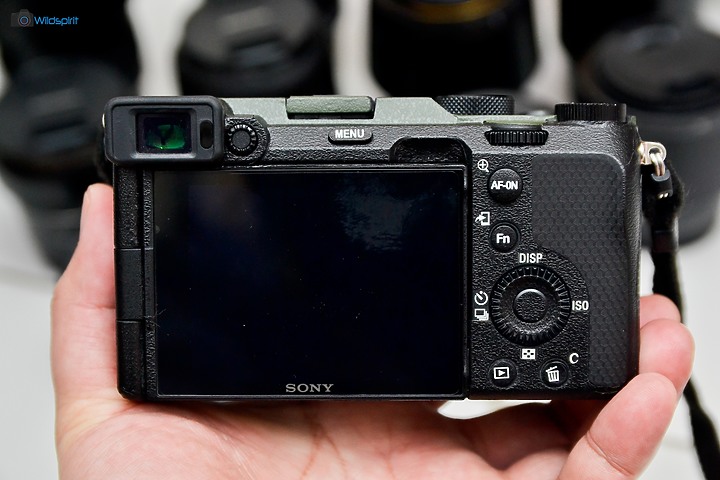 跨年後重啟攝影夥伴【SONY A7C】