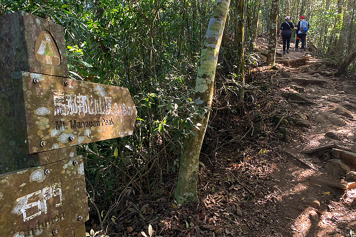 苗栗泰安｜馬那邦山登山步道｜漫步楓紅古戰場．遠眺深藍聖稜線