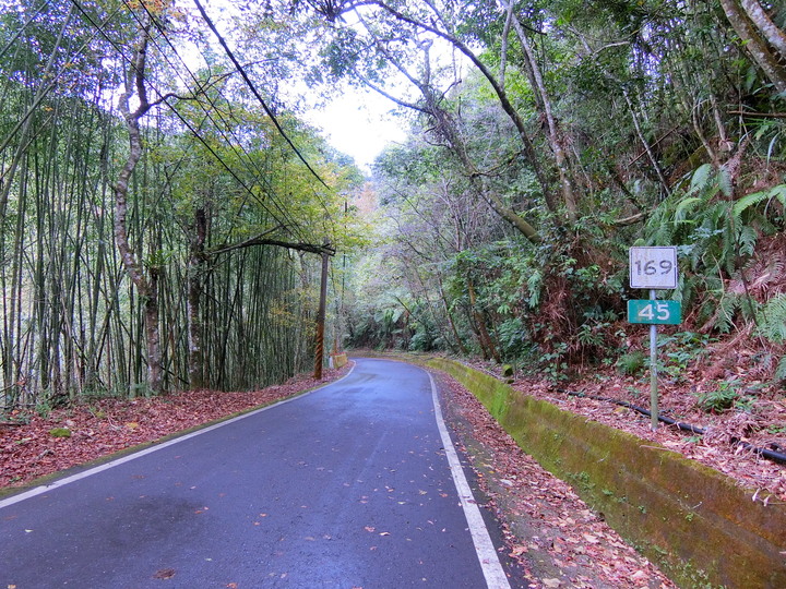 縣道169線記錄(梅山鄉太和~阿里山鄉里佳)