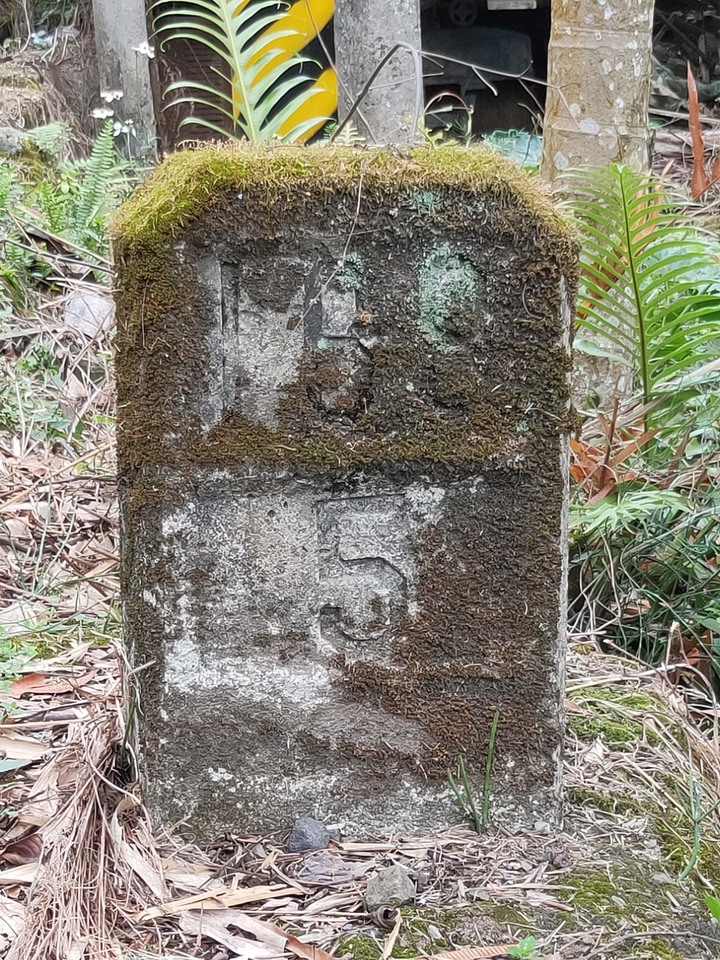縣道169線記錄(梅山鄉太和~阿里山鄉里佳)