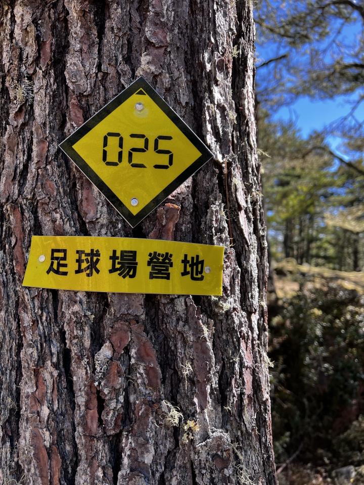 【百岳】夜宿月光下的新武呂溪,看朝陽灑落嘉明湖
