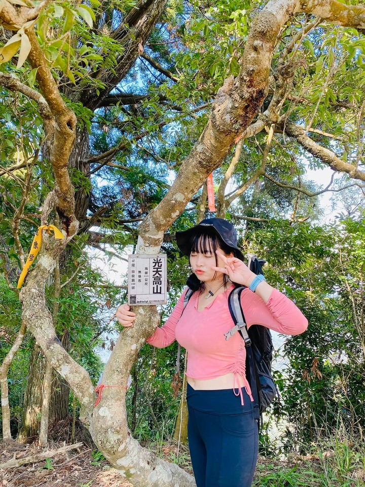 苗栗南庄|向天湖山O形縱走,蓊鬱的柳杉林,優美林相讓人著迷