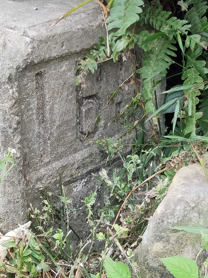 縣道169線記錄(梅山鄉太和~阿里山鄉里佳)